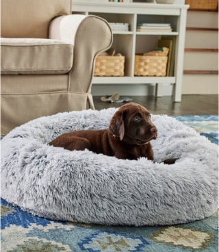  L.L.Bean Plush Cuddler Dog Bed