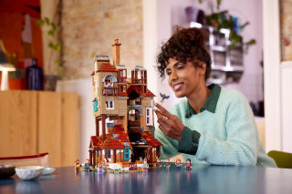 "Harry Potter" The Burrow