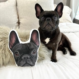 West & Willow Custom Shaped Pet Portrait Pillows