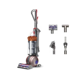 Dyson Ball Animal 3+ handheld vacuum cleaner