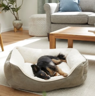 Frisco Rectangular Bolster Dog Bed