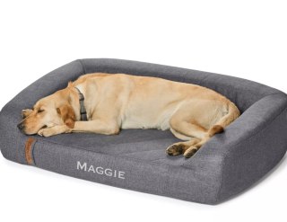 Orvis Memory Foam Bolster Dog Bed