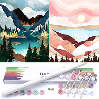 Baisite Paint by Numbers Kit