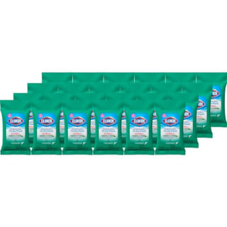 Disinfecting On The Go Travel Wipes