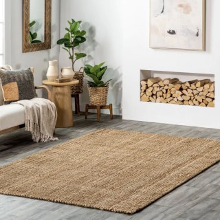 Ashli Solid Jute Indoor Area Rug