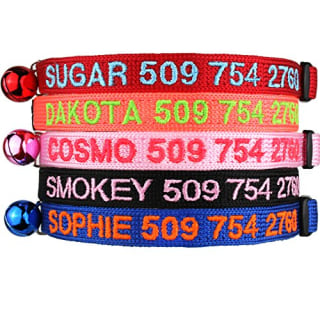 GoTags Personalized Collar