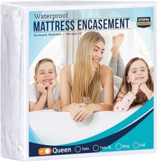 Zippered Mattress Encasement