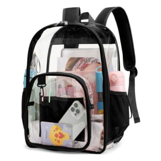 PayUSD Clear Backpack