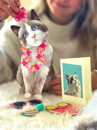 Freshcut Paper Pop-Up Pet Cards