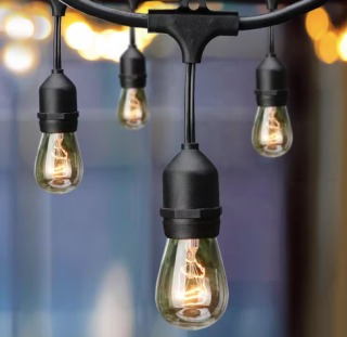 Hampton Bay 12-Light Indoor/Outdoor Edison Bulb String Lights