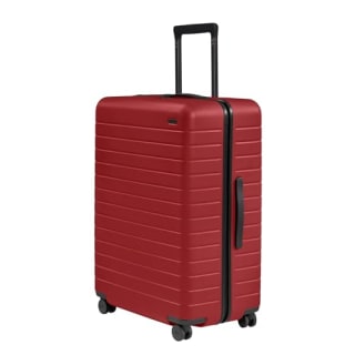 Large Checked Luggage