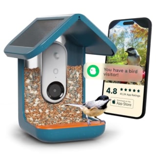 Bird Buddy Solar Smart Bird Feeder with Camera 
