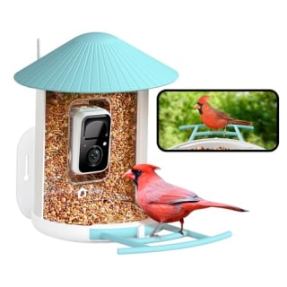 Netvue by Birdfy Smart Bird Feeder with Camera