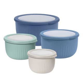  Store & Serve Plastic Bowls (Set of 4)