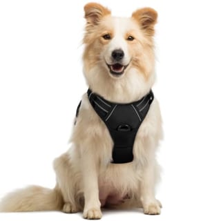 Rabbitgoo Dog Harness