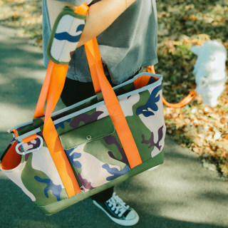 Roverlund Out-And-About Pet Tote