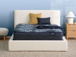 Serta Perfect Sleeper Sleep Excellence Firm Mattress