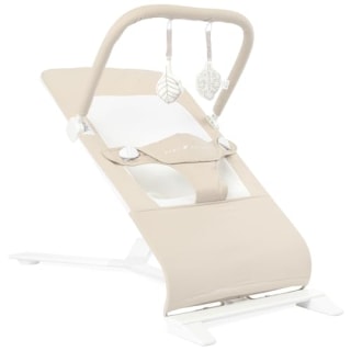 Baby Delight Alpine Deluxe Portable Bouncer