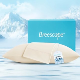Breescape Cooling Pillow Case (Set of 2)