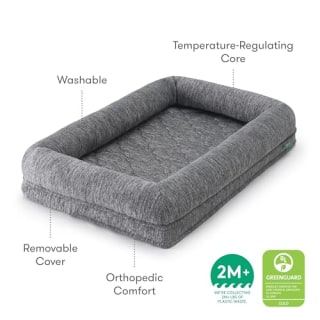 Newton Orthopedic Pet Bed