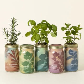 Uncommon Goods Mason Jar Indoor Herb Garden