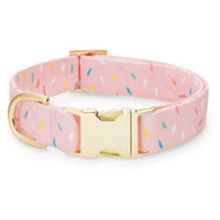 The Foggy Dog Sprinkles Dog Collar