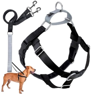 2 Hounds Design Freedom Harness