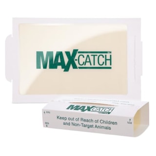 Catchmaster Max-Catch Mouse & Insect Glue Trap