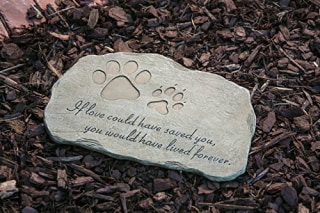 Evergreen Garden Pet Paw Print If Love Could Have Saved You Garden Memorial Stone