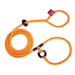 Harness Lead Leash