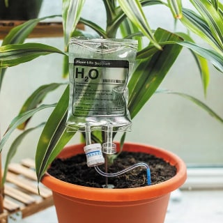 Plant Life Support Self-Waterer