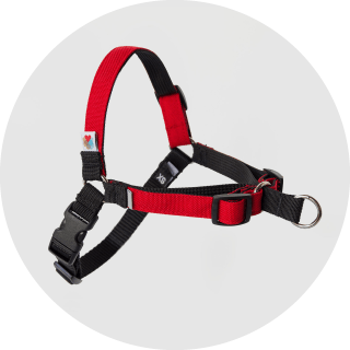 Wildebeest No-Pull Dog Harness