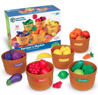 Learning Resources Farmer’s Market Color Sorting Set
