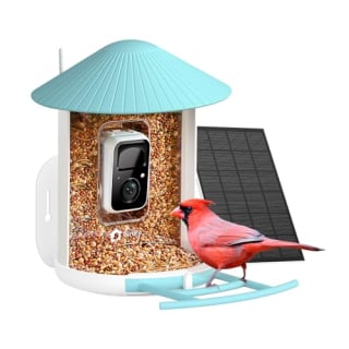 Birdfy Smart Bird Feeder with AI Camera and Solar Powered Panel
