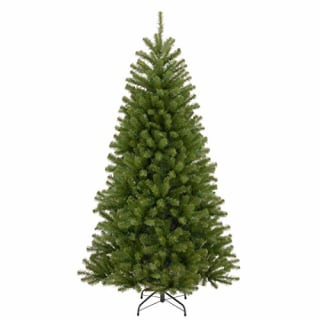 National Tree Company North Valley Spruce