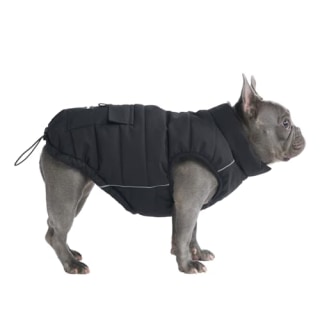 Spark Paws Dog Winter Jacket