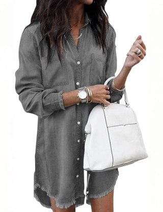 Zilcremo Denim Shirt Dress