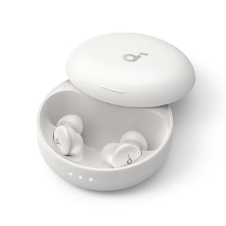 Soundcore Sleep A30 Earbuds