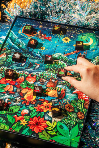 Compartés Winter Fox Chocolate Advent Calendar