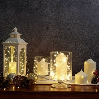 Member's Mark LED Micro Wire Lights (Set of 4)