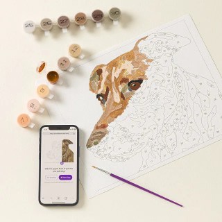 Uncommon Goods Paint Your Pet By Number Portrait Kit