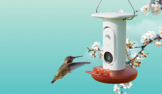 Birdbuddy Smart Hummingbird Feeder Pro