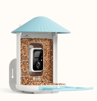 Birdfy Smart Bird Feeder Camera