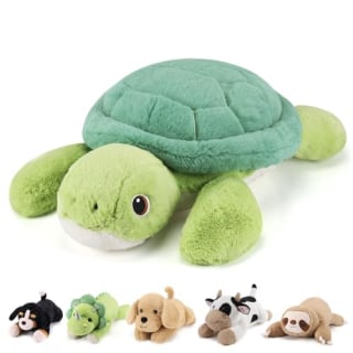 Gnomantic Weighted Stuffled Turtle