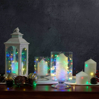 Member's Mark LED Micro Wire Lights (Set of 4)