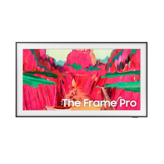 Samsung The Frame Pro 65 in. TV