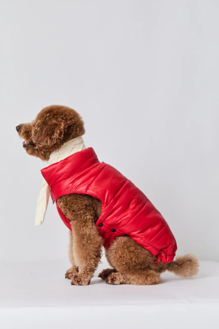 Core Puffer Jacket Red