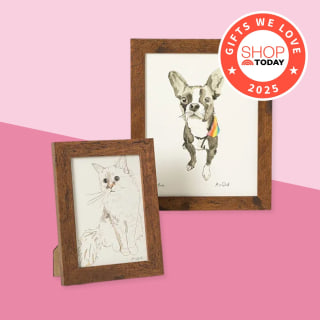 Uncommon Goods Paint Your Pet By Number Portrait Kit
