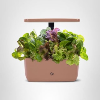 AeroGarden Harvest Lite