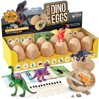 Dan&Darci Dig a Dozen Dino Egg Kit for Kids